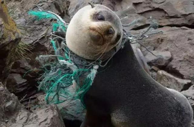 1634630819953064.jpeg 11.jpeg